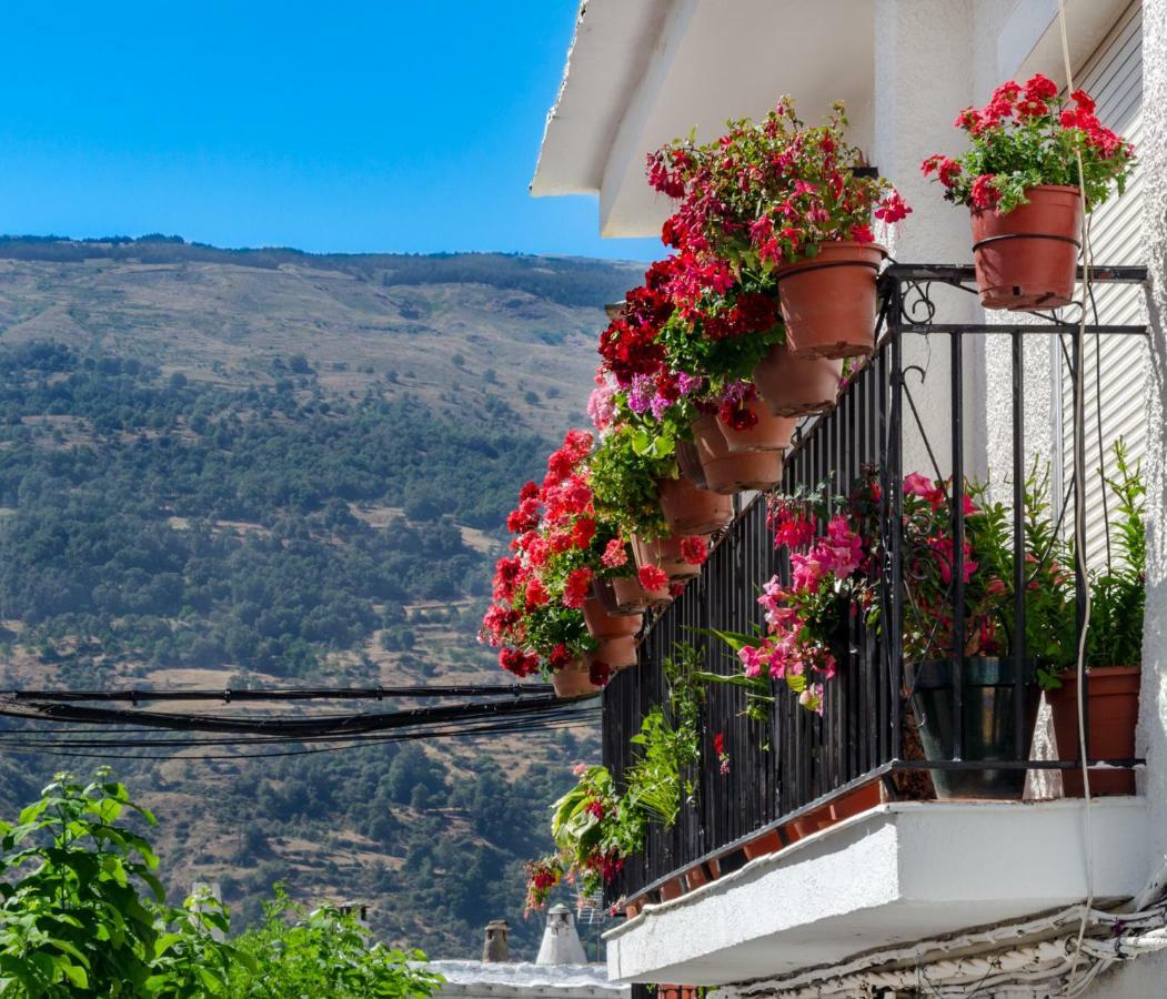 Casa Cecilia Apartment Bubion Bagian luar foto
